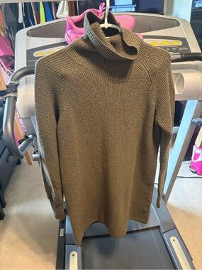 Wilfred Olive Turtleneck Sweater Dress
